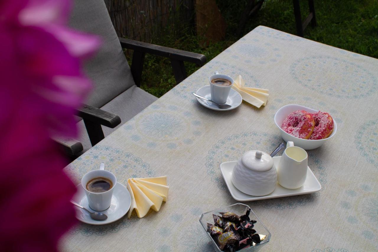 Hotel Living Suto Orizari Zewnętrze zdjęcie